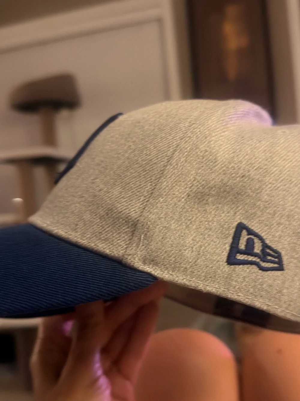 Classic Two-Tone Gray and Blue Baseball Cap with Embroidered D Logo detro